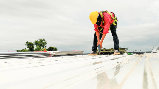 Best Storm Damage Roof Repair  in Churchville, PA